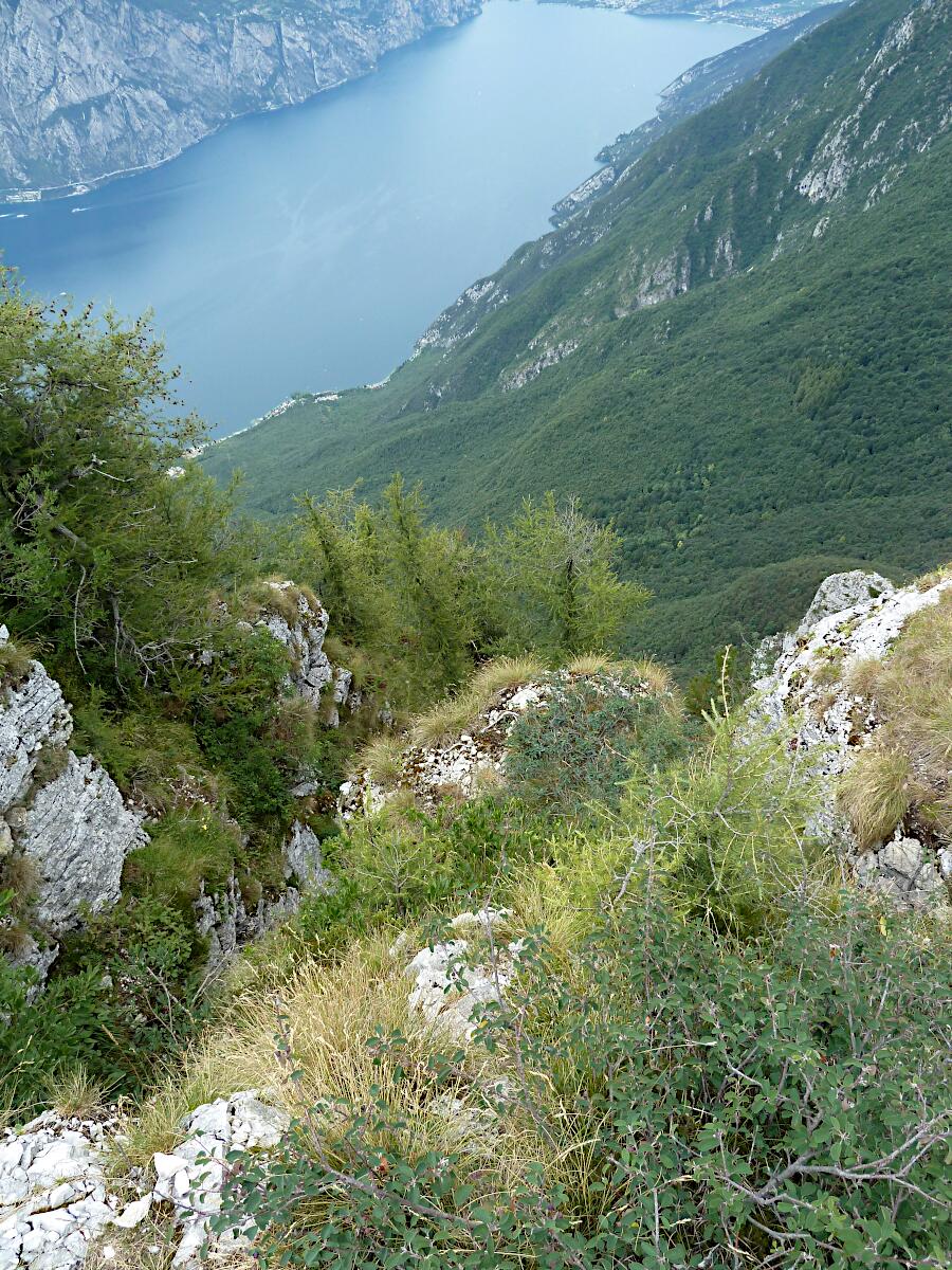 Gardasee - Blickrichtung Nord