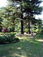 Ala - Palazzo Malfatti Azzolini