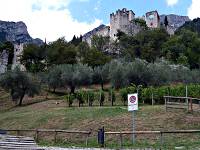 Castello di Sabbionara (ab 11. Jh.) - mit Olivenhain