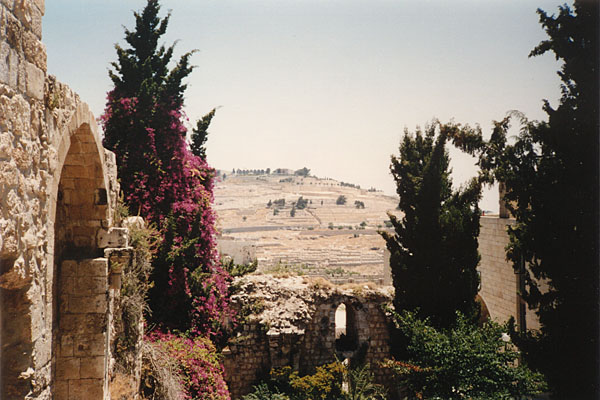 Jerusalem - Blick von der sdlichen Altstadt auf den lberg