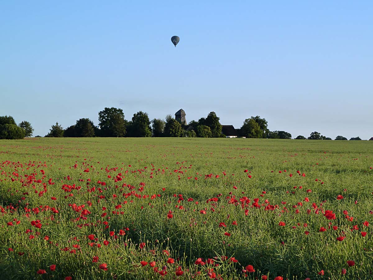 Verirrter Heiluftballon  der Kieler Woche