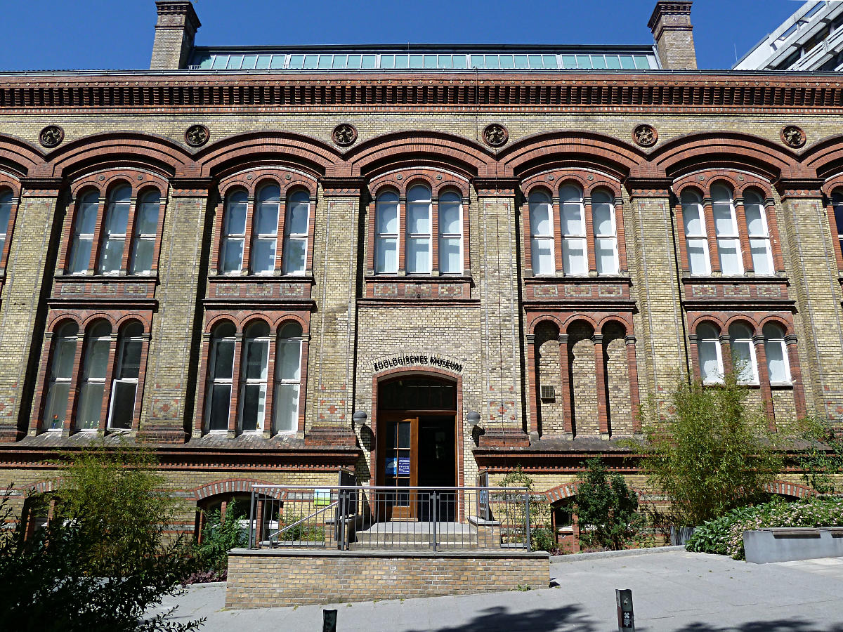 Zoologisches Museum Kiel