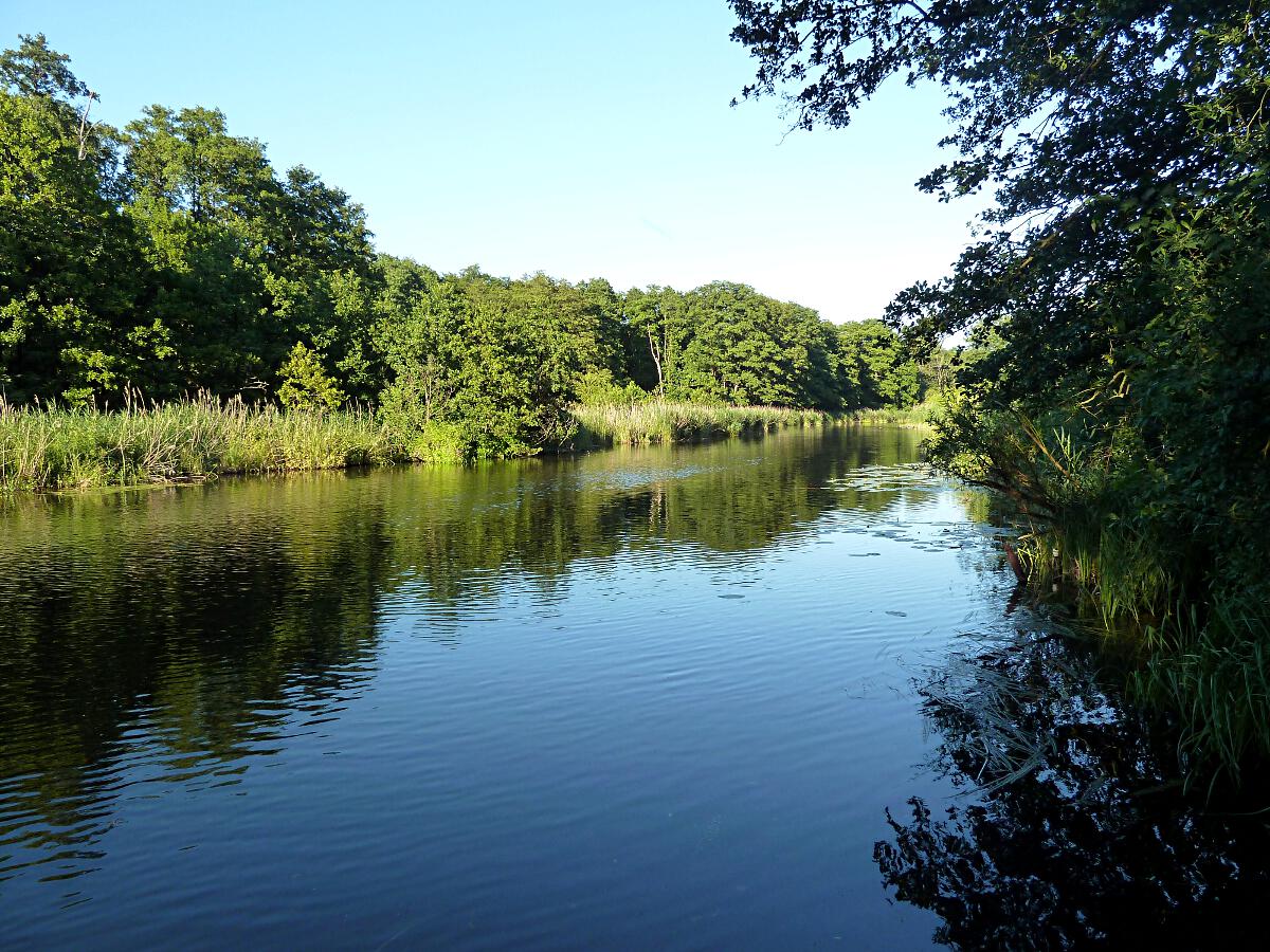 Schwentine - Unterlauf zwischen Klausdorf und Frdemndung