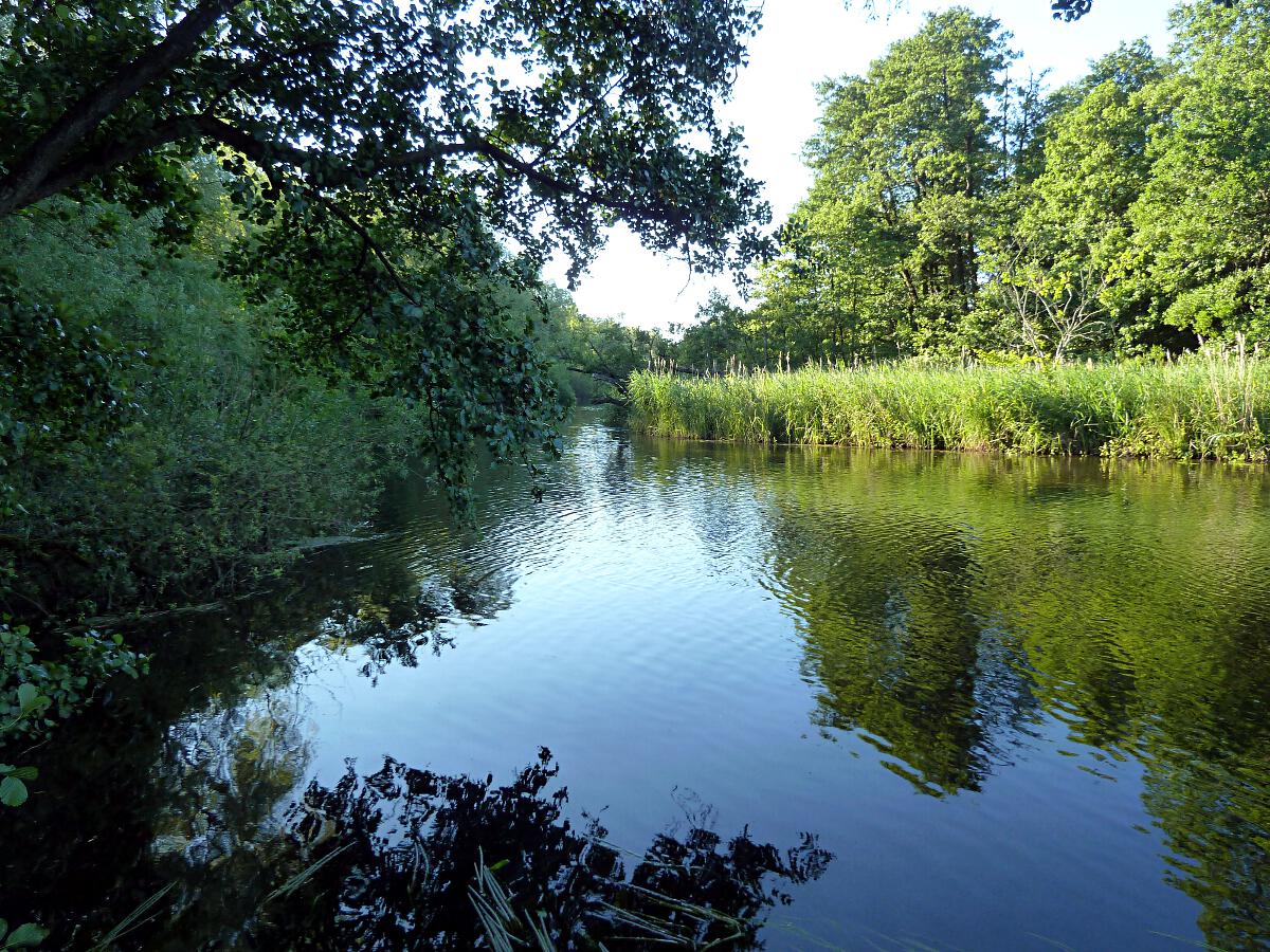 Schwentine - Unterlauf zwischen Klausdorf und Frdemndung