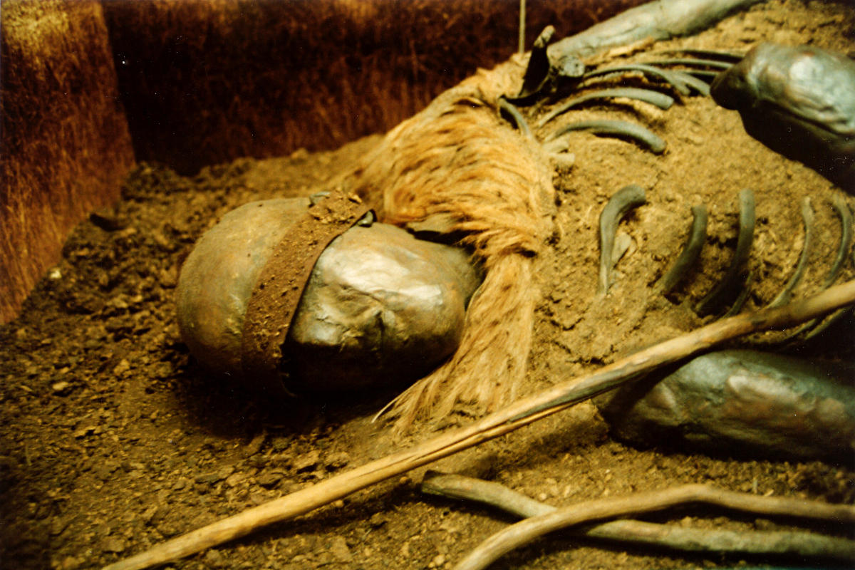 Archologisches Landesmuseum - Moorleiche von Windeby I (Alter ca. 2000 Jahre)