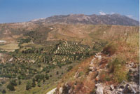 Olivenhaine und Zypressenalleen (Kastell Andimáchia)