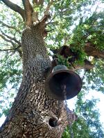 Paleó Pýli - Glocke der Panagía Kastrianón