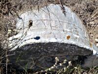 Kéfalos - Panagía I Palatianí