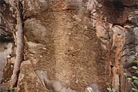 Petroglyphen von La Zarza (1997)