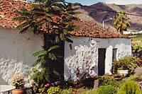 Argual - Kanarisches Bauernhaus (2000)