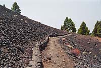 Ruta de los Volc�nes - Am Hang des Pico Birigoyo