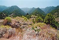 Las Nieves - Gebirgslandschaft