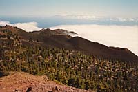 Ruta de los Volc�nes - Blick vom Gipfel der Deseada (1997)