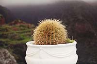 Puntallana - Blick von der Ermita de San Bartolom� (2000)