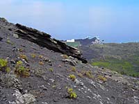 Volc�n de San Antonio - S�dwestflanke (im Hintergrund Lavaplattform des Teneguia)