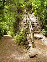 Los Tilos - Aufstieg zum Mirador Espig�n Atravesado