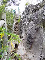 Los Tilos - Mirador Espig�n Atravesado