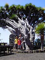 Puntagorda - El Roque