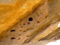 Las Tricias - Cuevas de Buracas (altkanarische Petroglyphen)