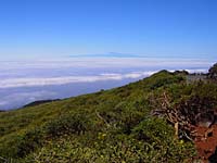 Teneriffa mit Teide - von der Stra�e zum Roque de los Muchachos