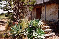 Bre�a Alta - Ruine (1997)