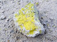 Paliorema - kristalliner Schwefel