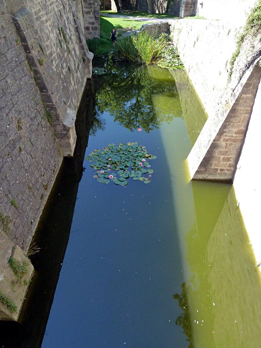 Klingentorbastei - Wassergraben