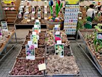 Singel - Bloemenmarkt