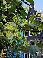 Spuistraat 316 - Feigenbaum