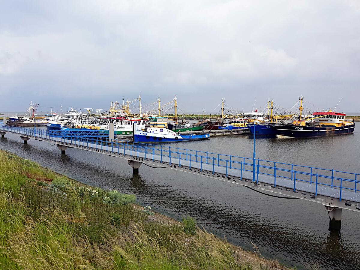 Waddenhaven