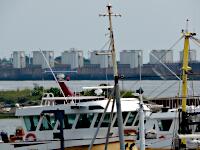 Waddenhaven - im Hintergrund Stevinsluizen (1927-32)