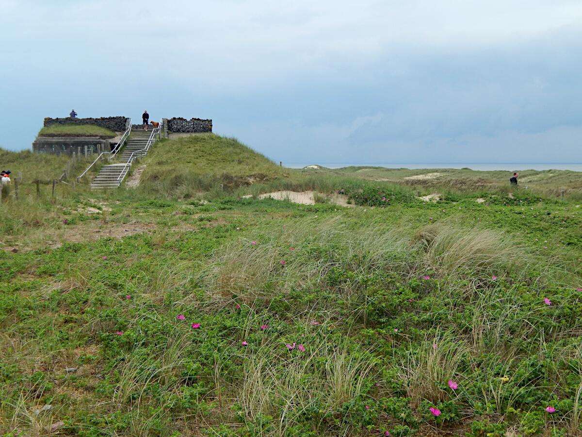 Uitzichtpunt Zanddijk - ehem. Geschutzbunker M219 (1944-45)