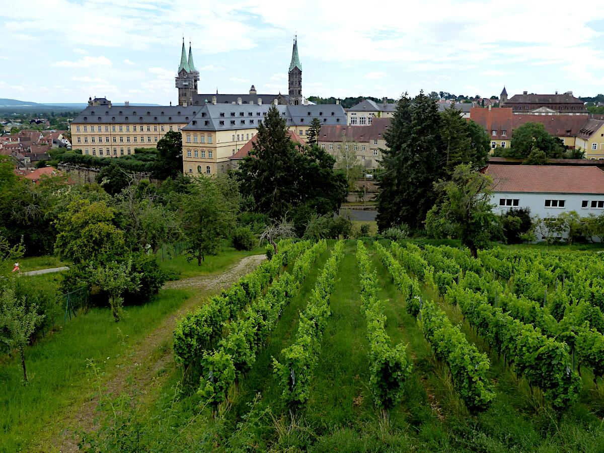 Domberg - Blick vom Kloster Michaelsberg