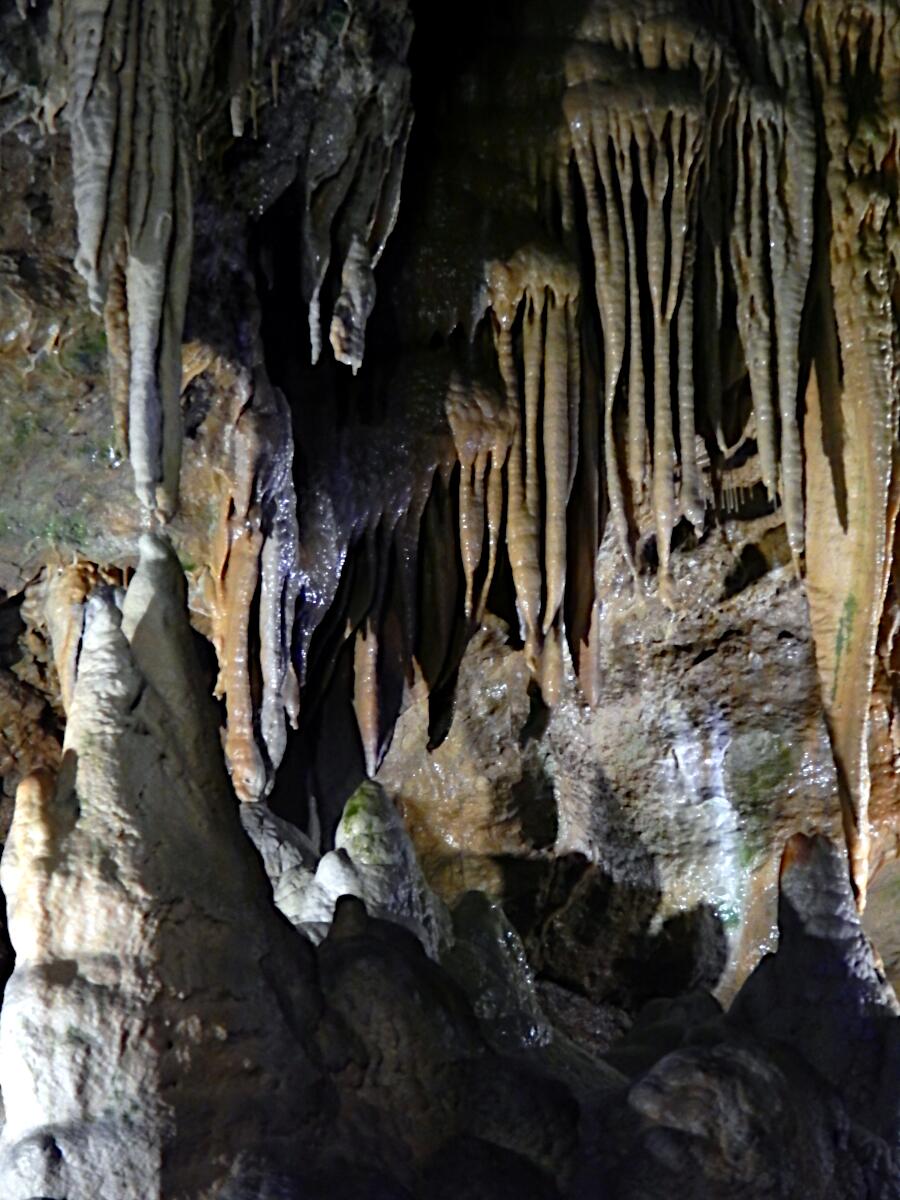 Teufelsh�hle - Stalaktiten und Stalagmiten