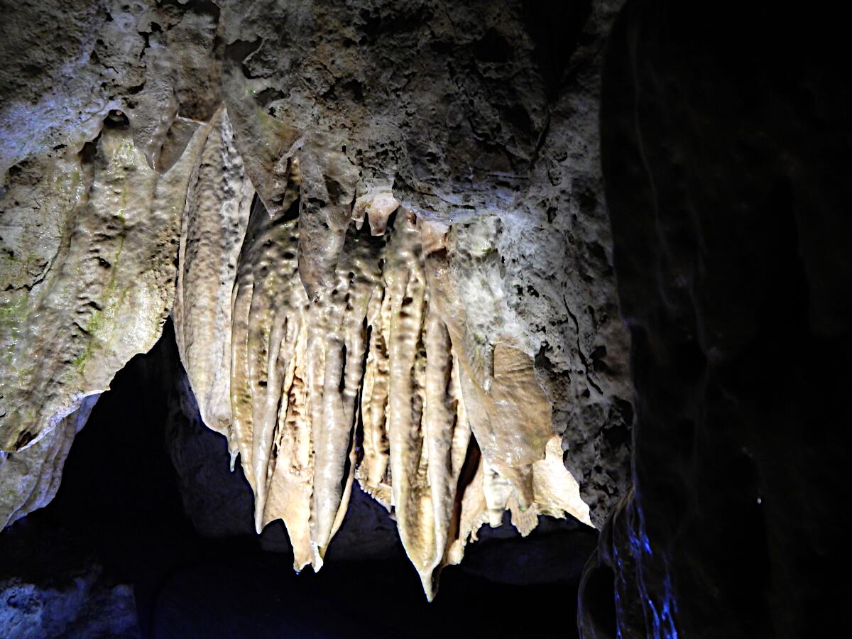 Teufelsh�hle - Sintervorh�nge