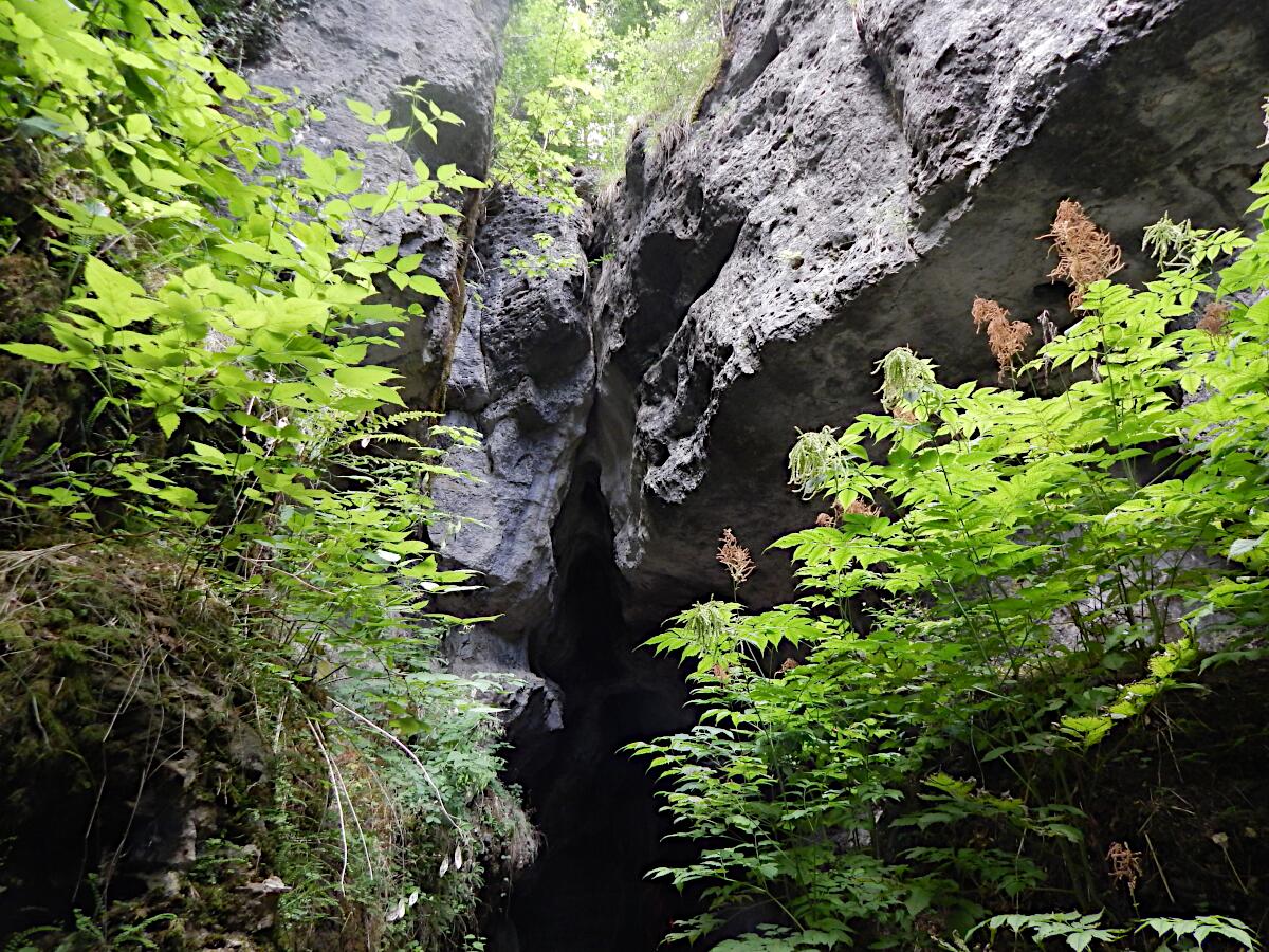 Teufelsh�hle - Ausgangsschlucht