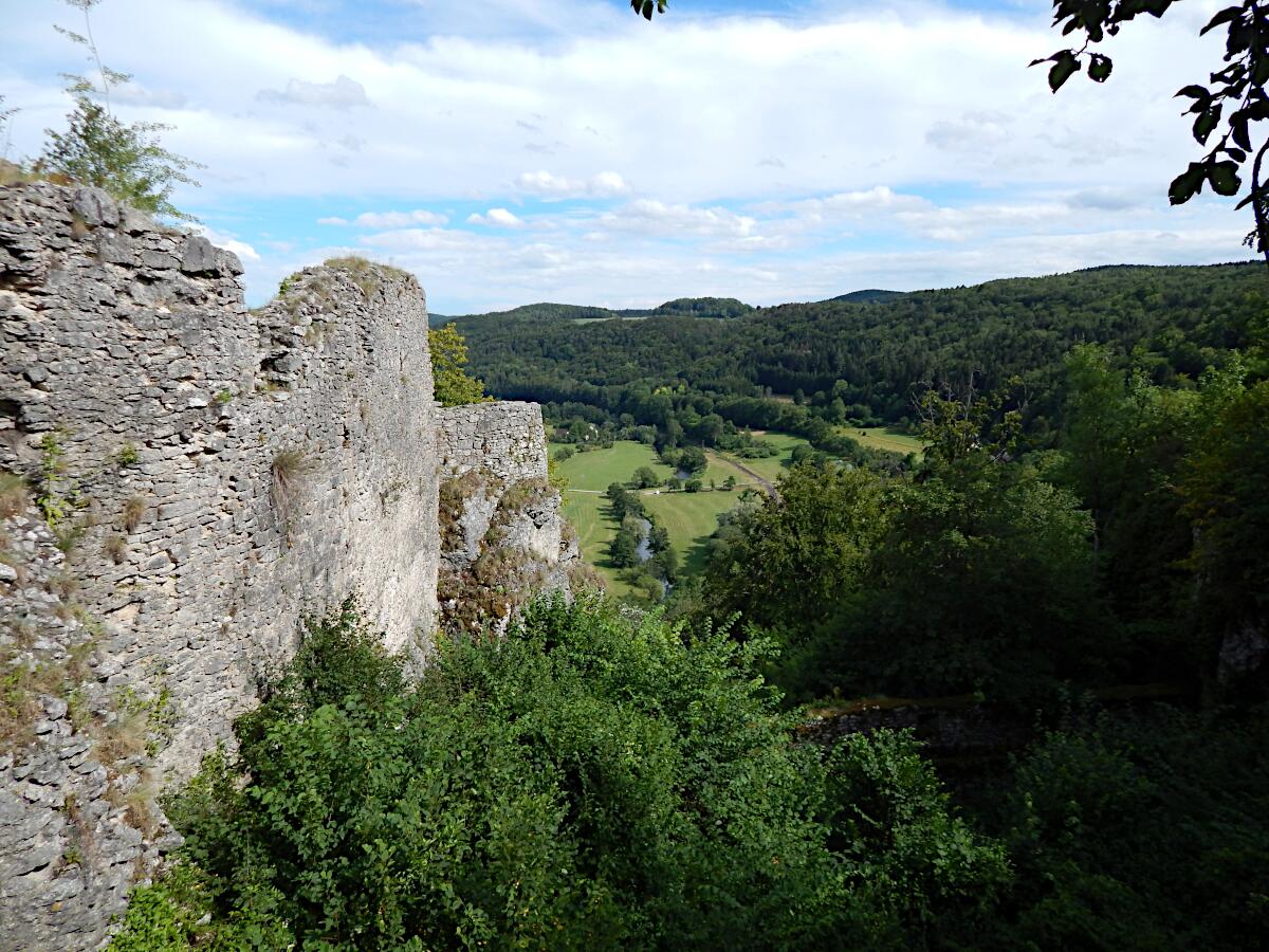 Burgruine Neideck - Sdwestmauer Kernburg mit Halsgraben