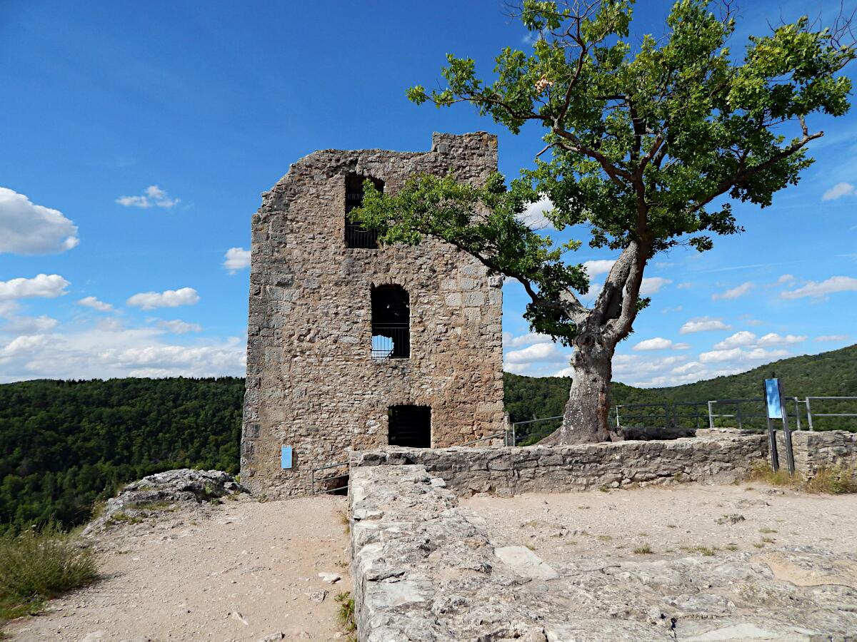 Burgruine Neideck - Kernburg mit Wohnturm