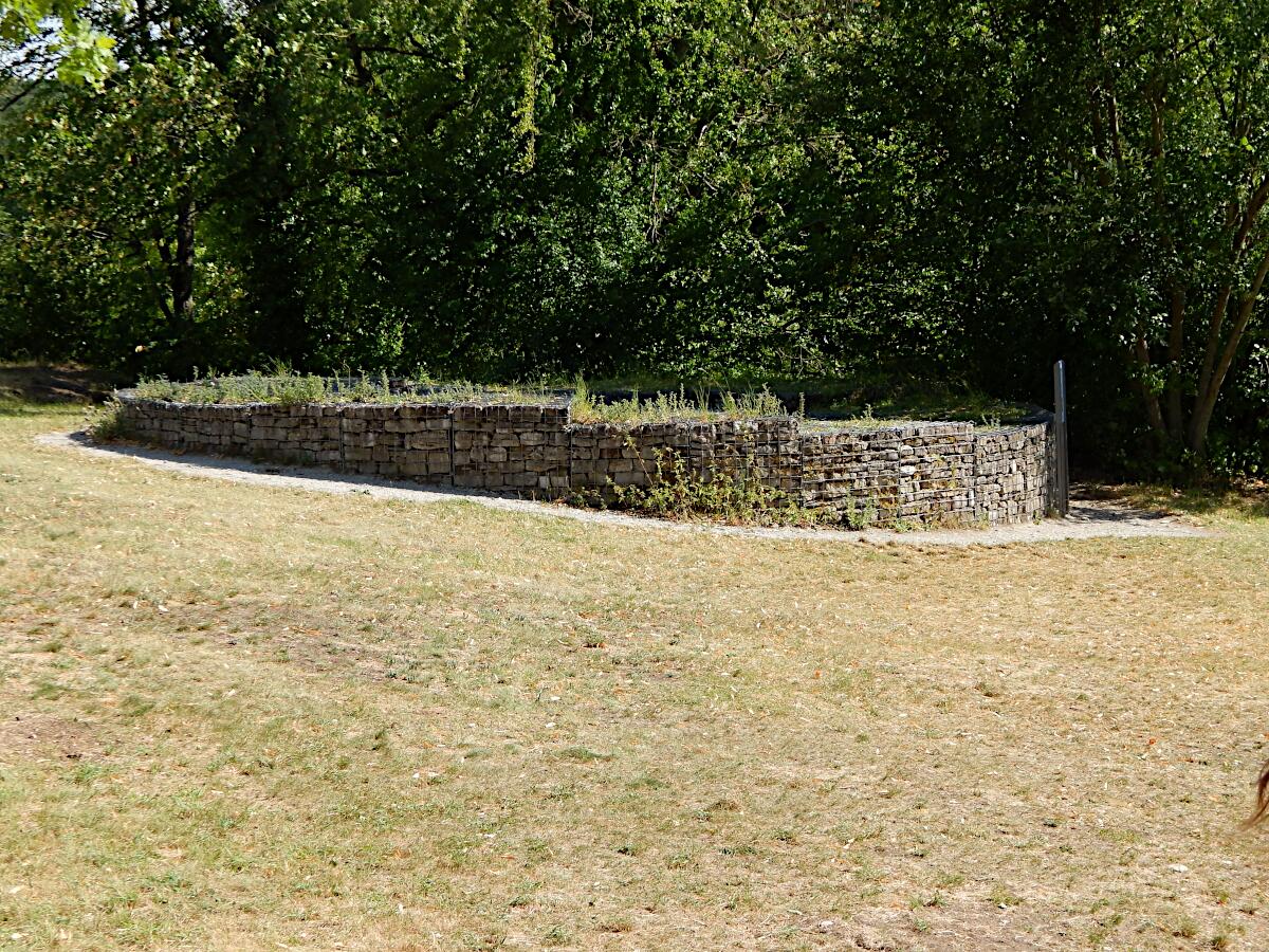 Burgruine Neideck - innere Vorburg mit Grundmauern Wohnturm