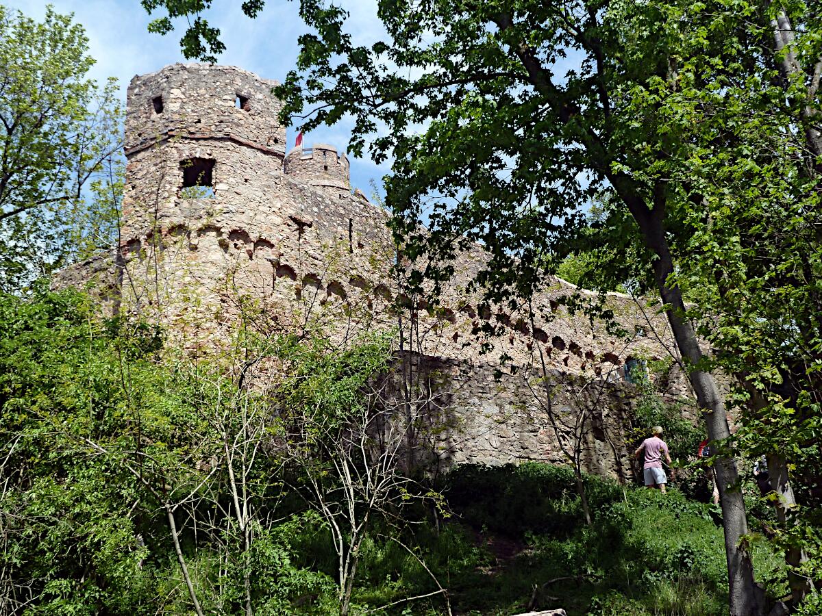Schloss Auerbach (ab 1222) - Ringmauer (Sdseite)