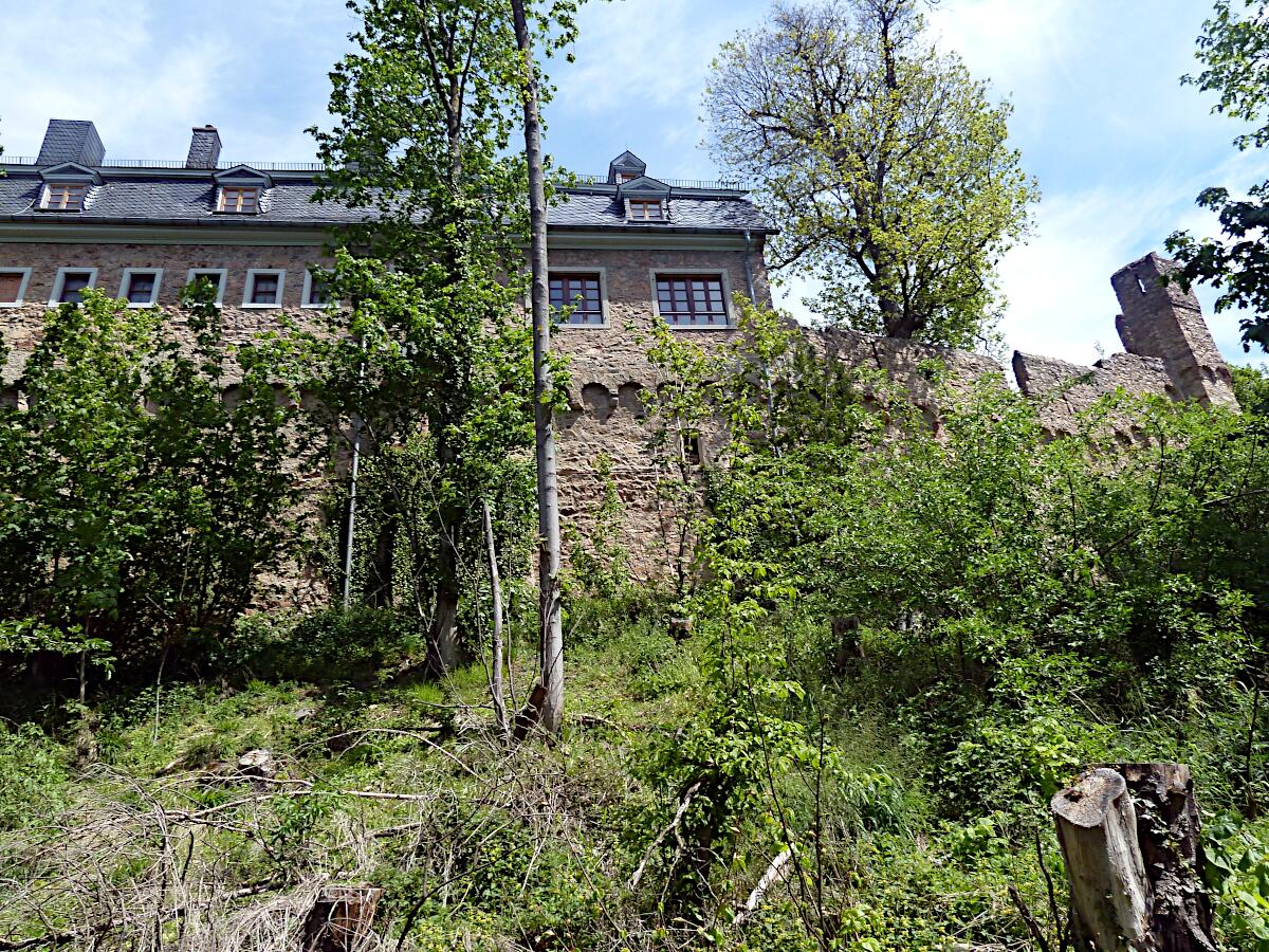 Schloss Auerbach (ab 1222) - Ringmauer (Westseite) und Vorburg