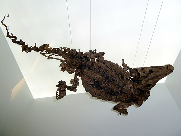 Asiatosuchus (Krokodil)