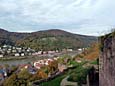 Neckar - Blickrichtung Ost vom Altan des Heidelberger Schlosses