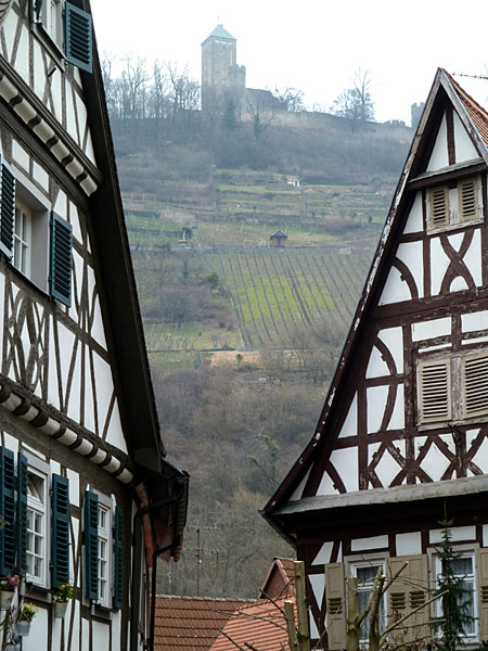 Schlossberg mit Starkenburg (1065)