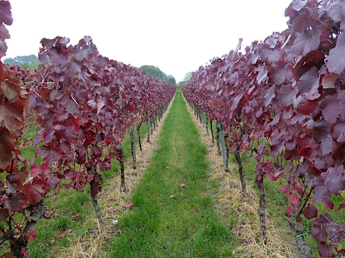 Heppenheimer Centgericht