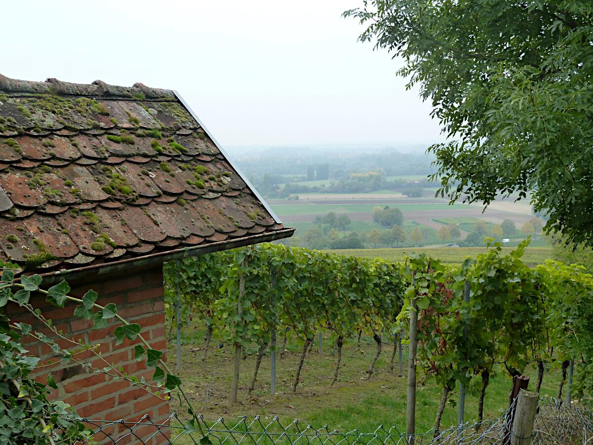 Heppenheimer Centgericht - Weinberghuschen