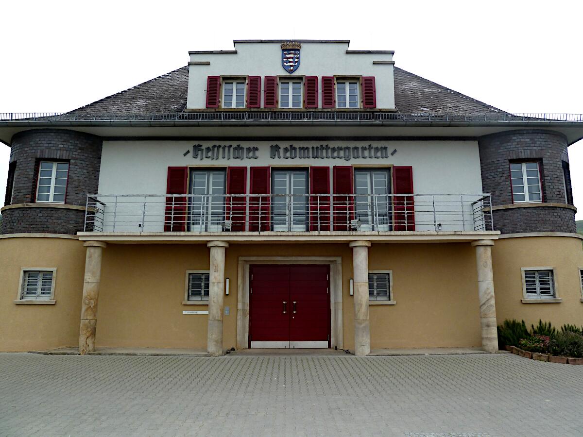 Domnengebude im ehem. hessischen Rebmuttergarten (1927/28)