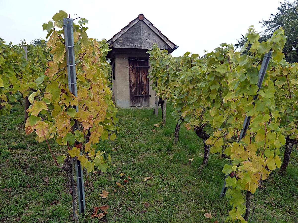 Heppenheimer Centgericht - Weinberghuschen