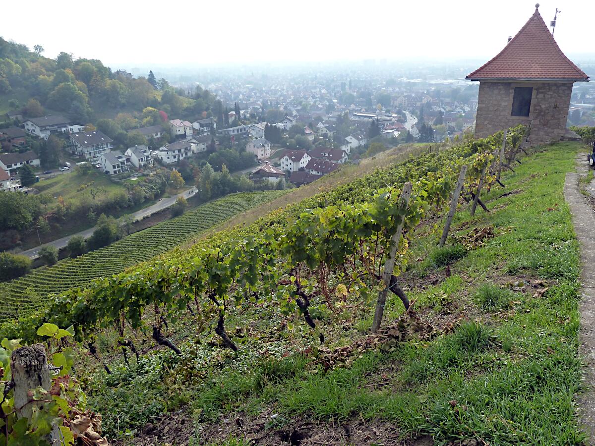 Heppenheimer Steinkopf - mit Steinkopfhuschen