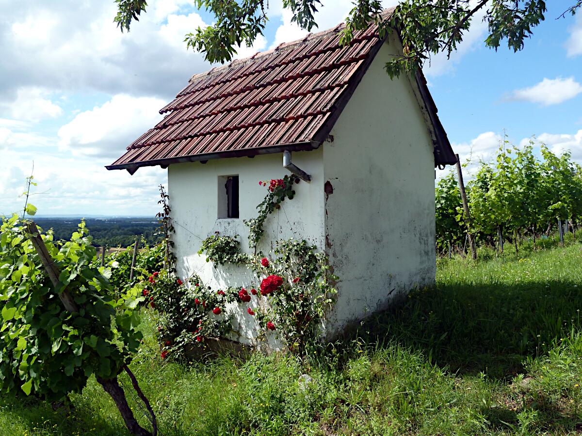 Heppenheimer Centgericht - Weinberghuschen